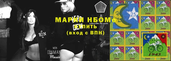 шишки Беломорск