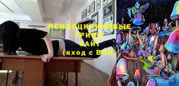 шишки Беломорск