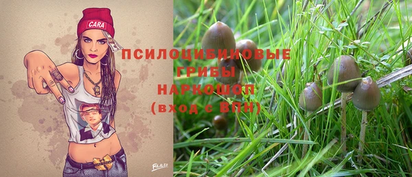 гидра Белокуриха