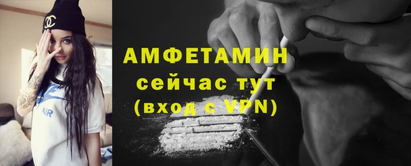шишки Беломорск
