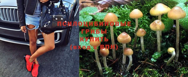 шишки Беломорск
