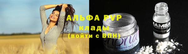 шишки Беломорск
