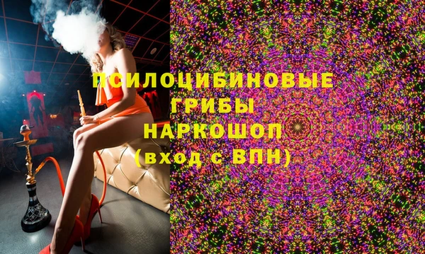гидра Белокуриха