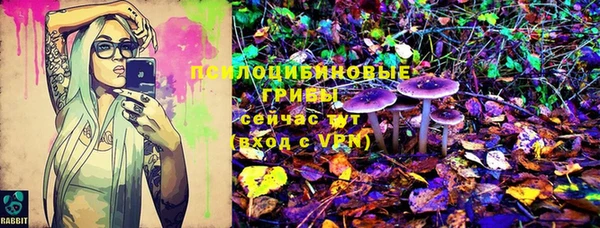 шишки Беломорск