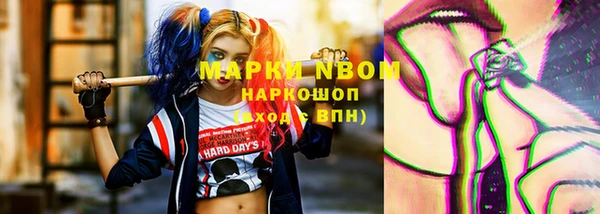 шишки Беломорск