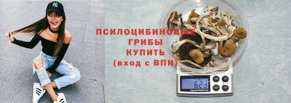 шишки Беломорск